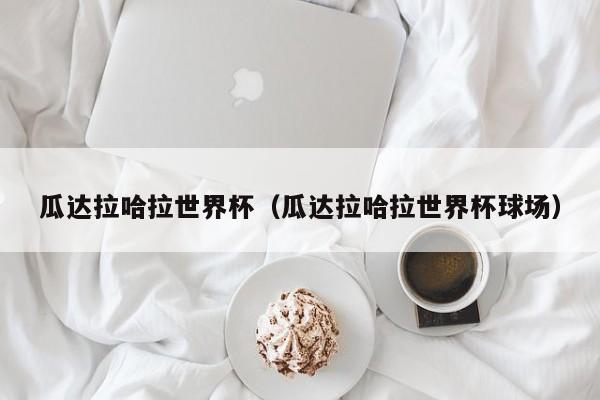 瓜达拉哈拉世界杯（瓜达拉哈拉世界杯球场）