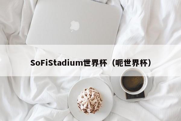 SoFiStadium世界杯(呃世界杯)