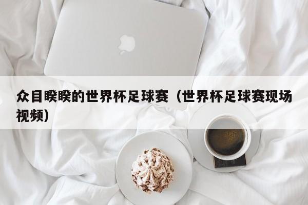 众目睽睽的世界杯足球赛（世界杯足球赛现场视频）